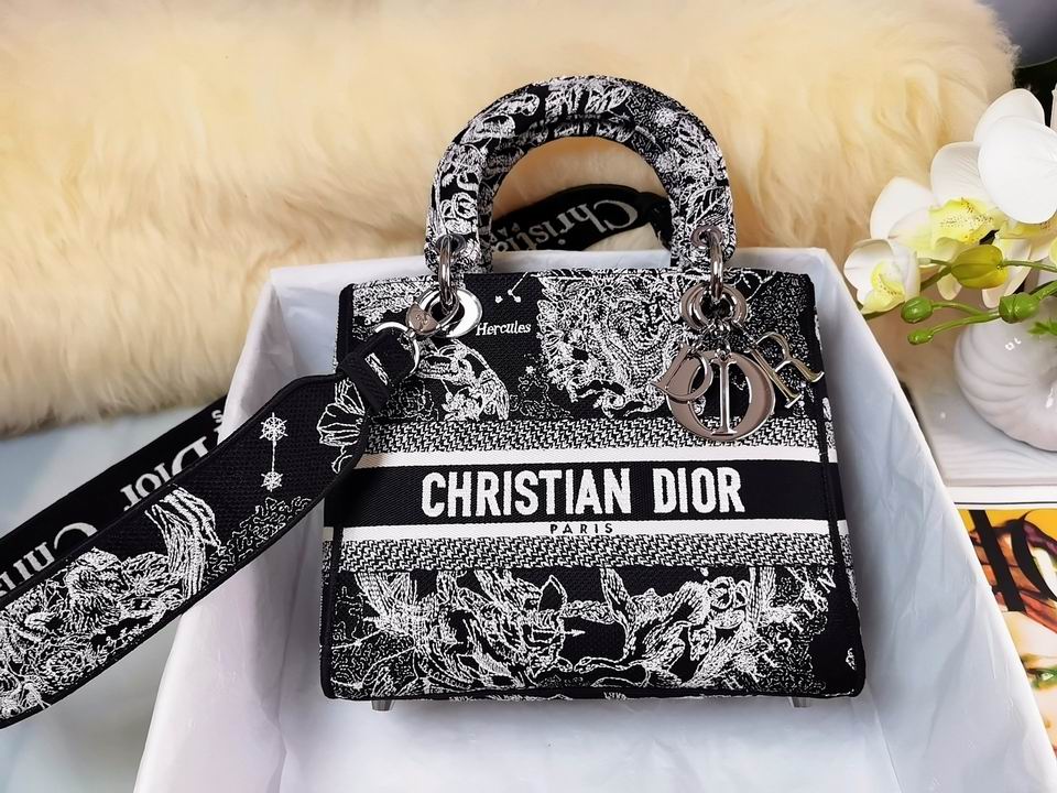 Dior Lady